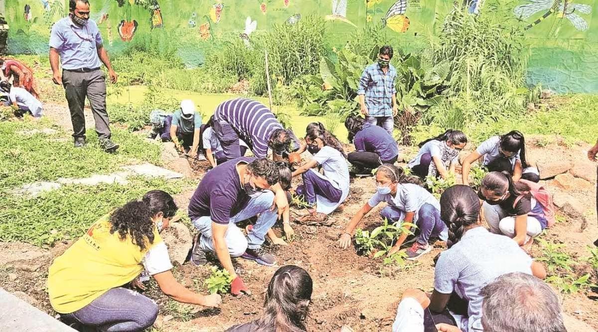 Phase 3- Reviving the Ecosystem